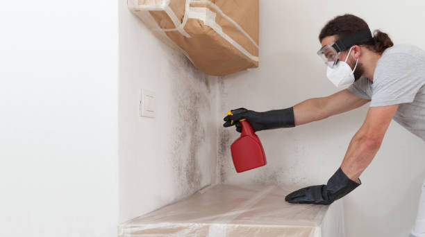 Professional Mold Testing technician working in Bridgeport, NY