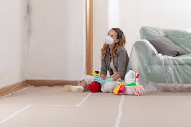 Reliable Mold Testing contractor in Bridgeport, NY by WQB Mold Removal